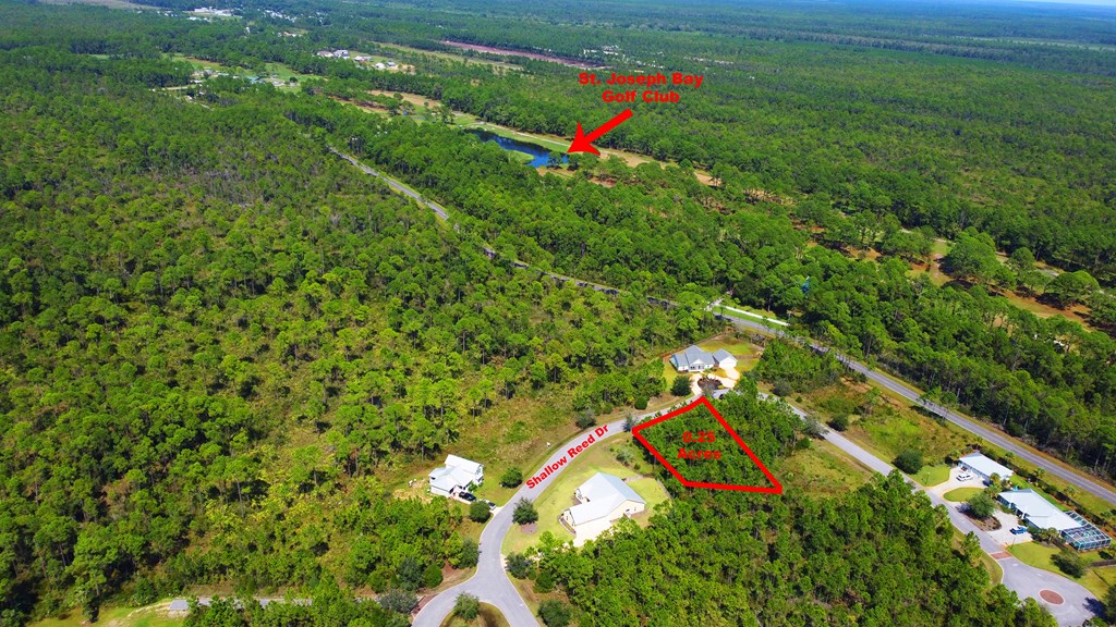 148 Shallow Reed Dr Port Street Port St. Joe, FL 32456 - Photo 4 of 12