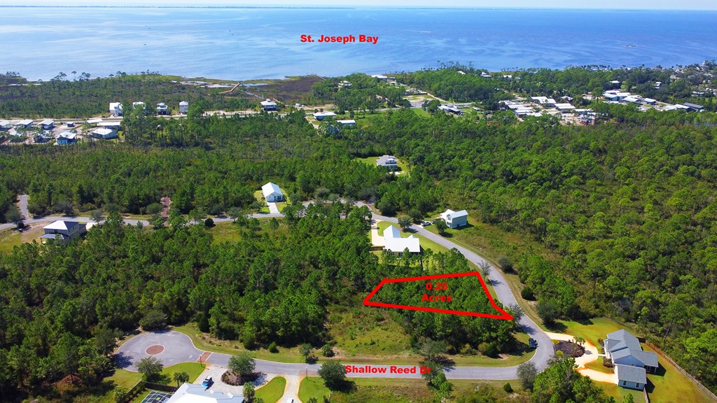148 Shallow Reed Dr Port Street Port St. Joe, FL 32456 - Photo 7 of 12