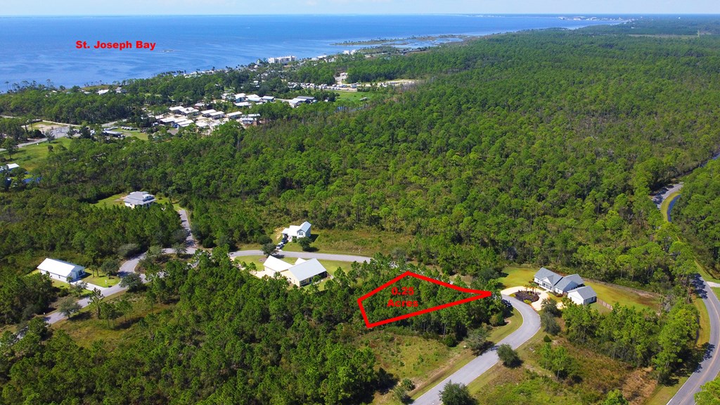 148 Shallow Reed Dr Port Street Port St. Joe, FL 32456 - Photo 8 of 12