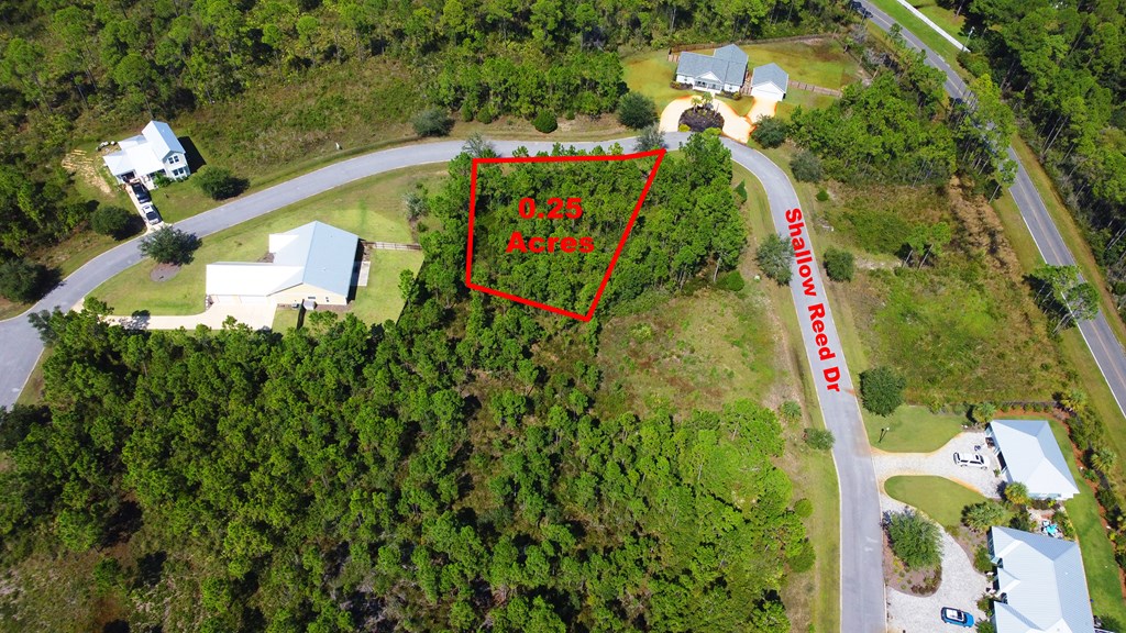 148 Shallow Reed Dr Port Street Port St. Joe, FL 32456 - Photo 10 of 12