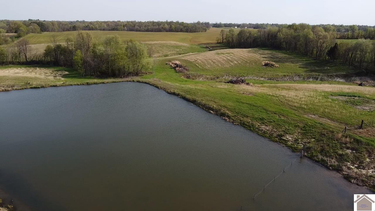 200 Dublin Hill Road Fancy Farm, KY 42039 - Photo 7 of 10 Photo 7