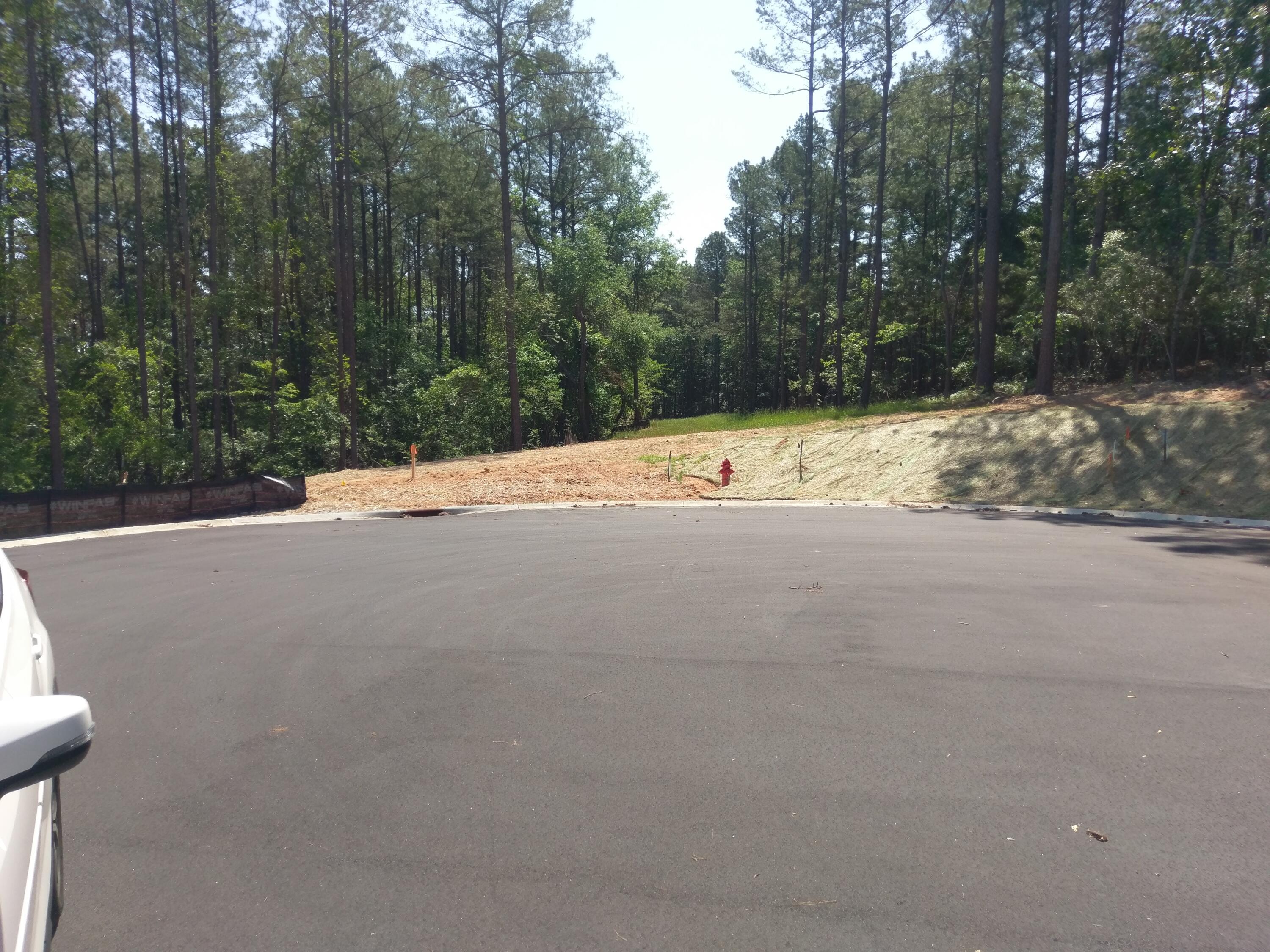 Lot 1 True Cedar Way Aiken, SC 29803 - Photo 3 of 3