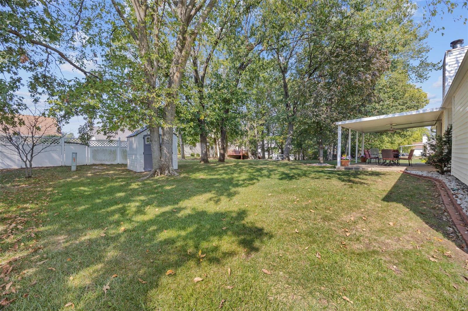 466 Winter Park Drive O'Fallon, MO 63366 - Photo 4 of 39