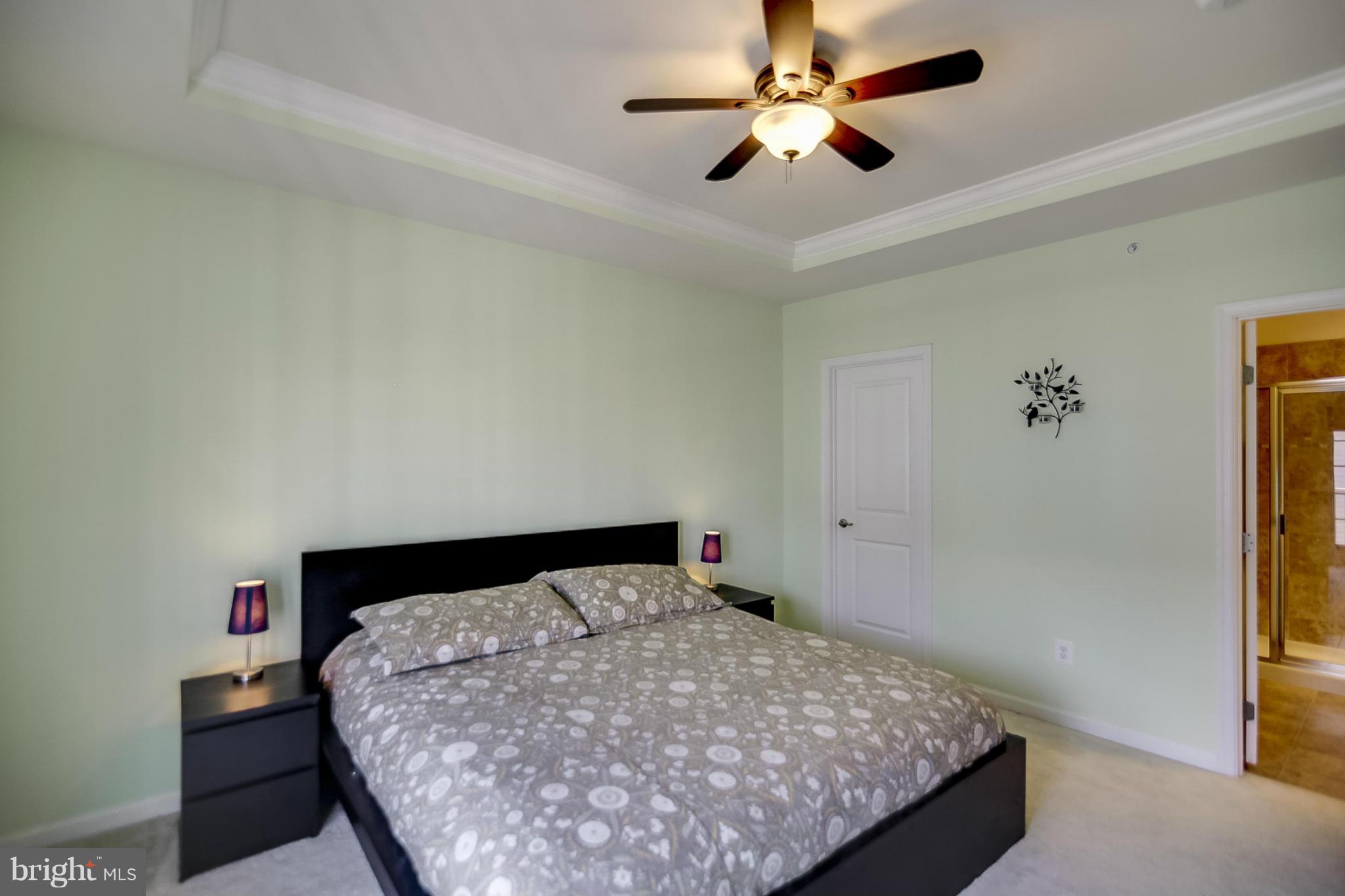 24673 Footed Ridge Terrace Arcola, VA 20166 - Photo 14 of 29 Bedroom (Master)