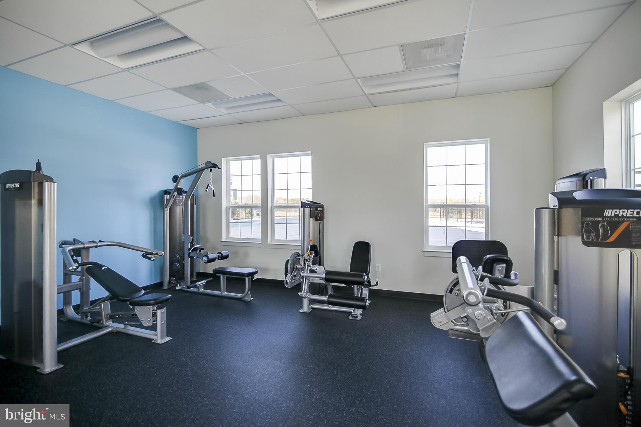 24673 Footed Ridge Terrace Arcola, VA 20166 - Photo 28 of 29 Interior (General)