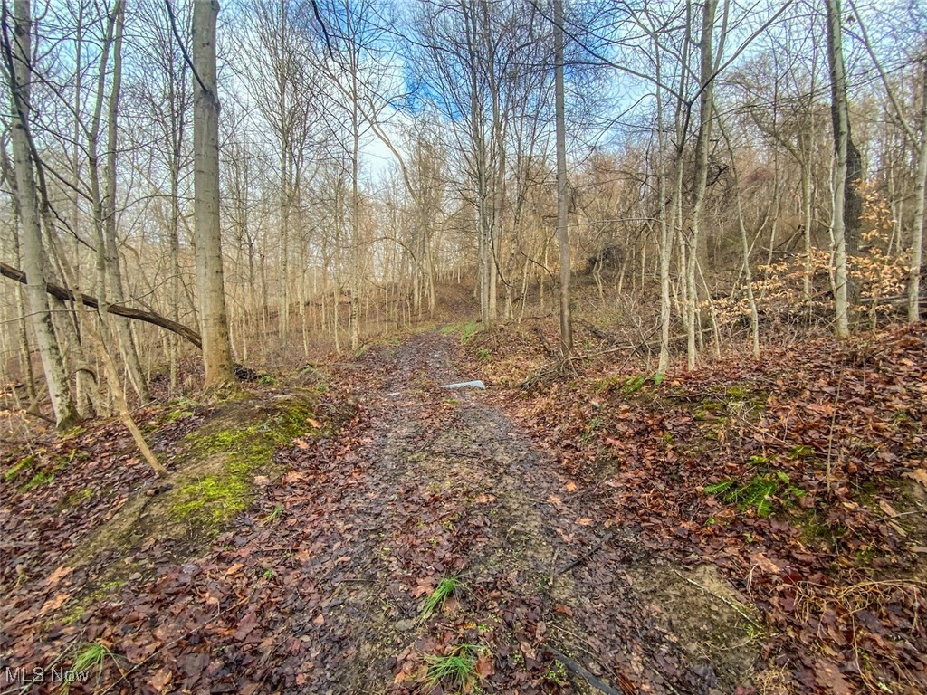 0 New Cut Road Shadyside, OH 43947 - Photo 11 of 37 View of road featuring a wooded view