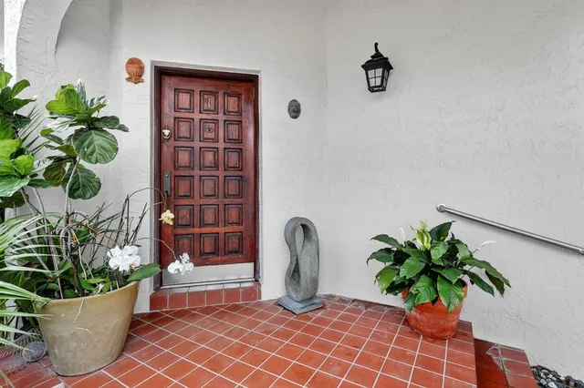 a potted plant sitting on a floor in front of a door