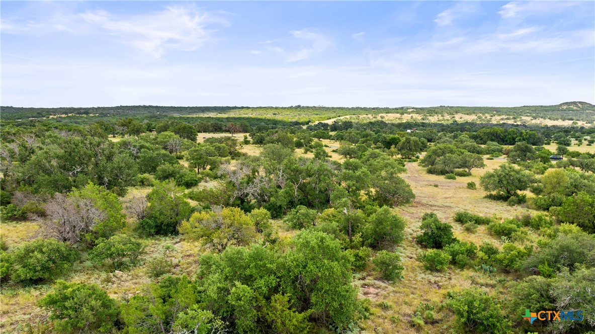 Lot 37 Vista Rdg Drive Round Mountain, TX 78663 - Photo 14 of 31 Gallery Image 14