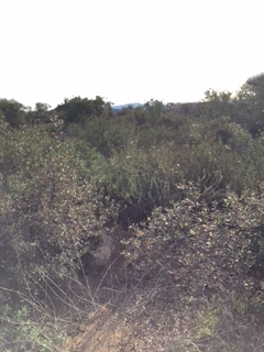 Vacant Lot 33 Vacant Road Fallbrook, CA 92028 - Photo 3 of 8