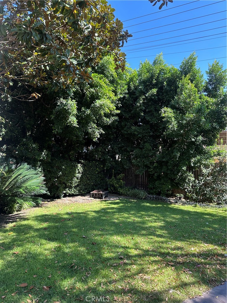4910 Willowcrest Avenue Toluca Lake, CA 91601 - Photo 24 of 25 a view of green field with a tree