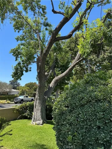 an aerial view of a yard