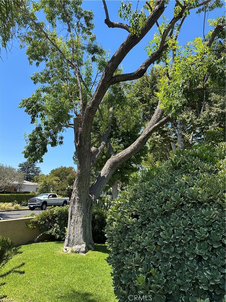 4910 Willowcrest Avenue Toluca Lake, CA 91601 - Photo 3 of 25 an aerial view of a yard
