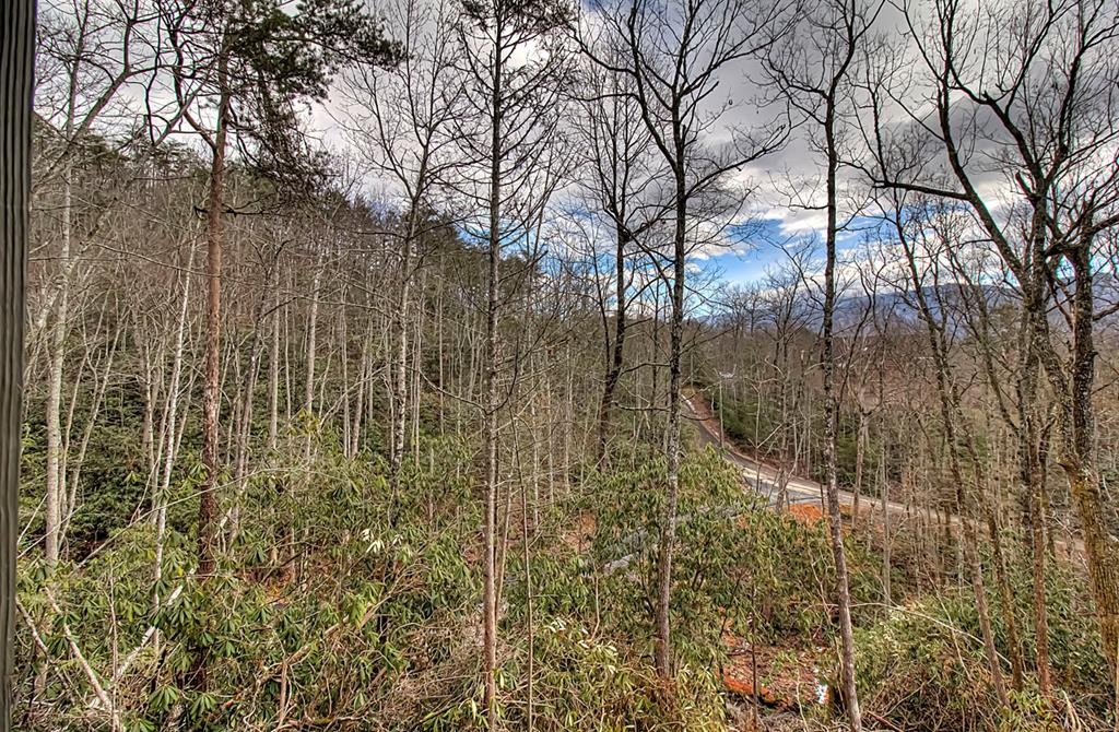 613 Big Bear Ridge Road Sevierville, TN 37876 - Photo 24 of 54 Gallery Image 24
