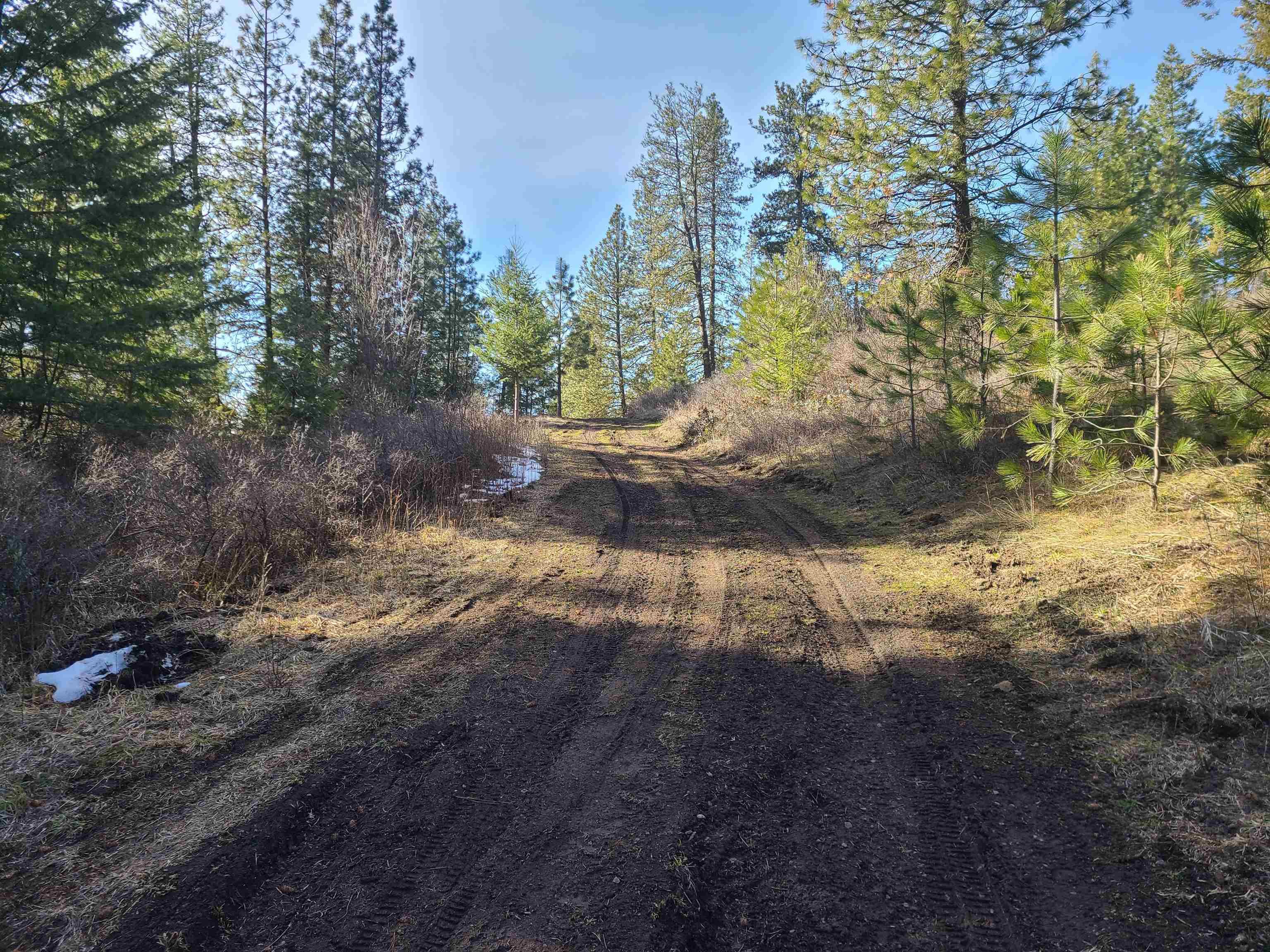 2584 F Bridgeman-Rettinger Road Kettle Falls, WA 99141 - Photo 2 of 21