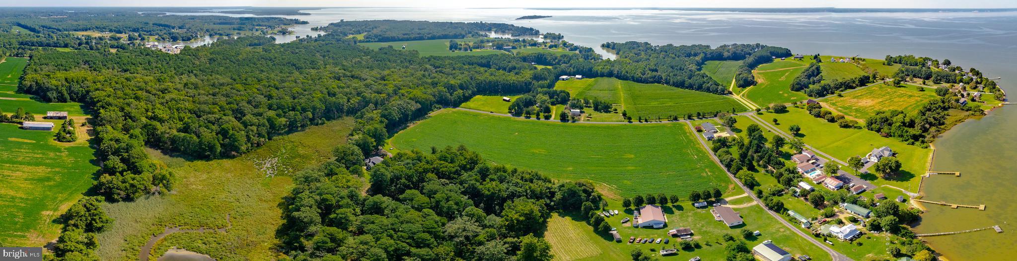 0 Waterloo Road Coltons Point, MD 20626 - Photo 8 of 8 a view of a big yard with plants and large trees
