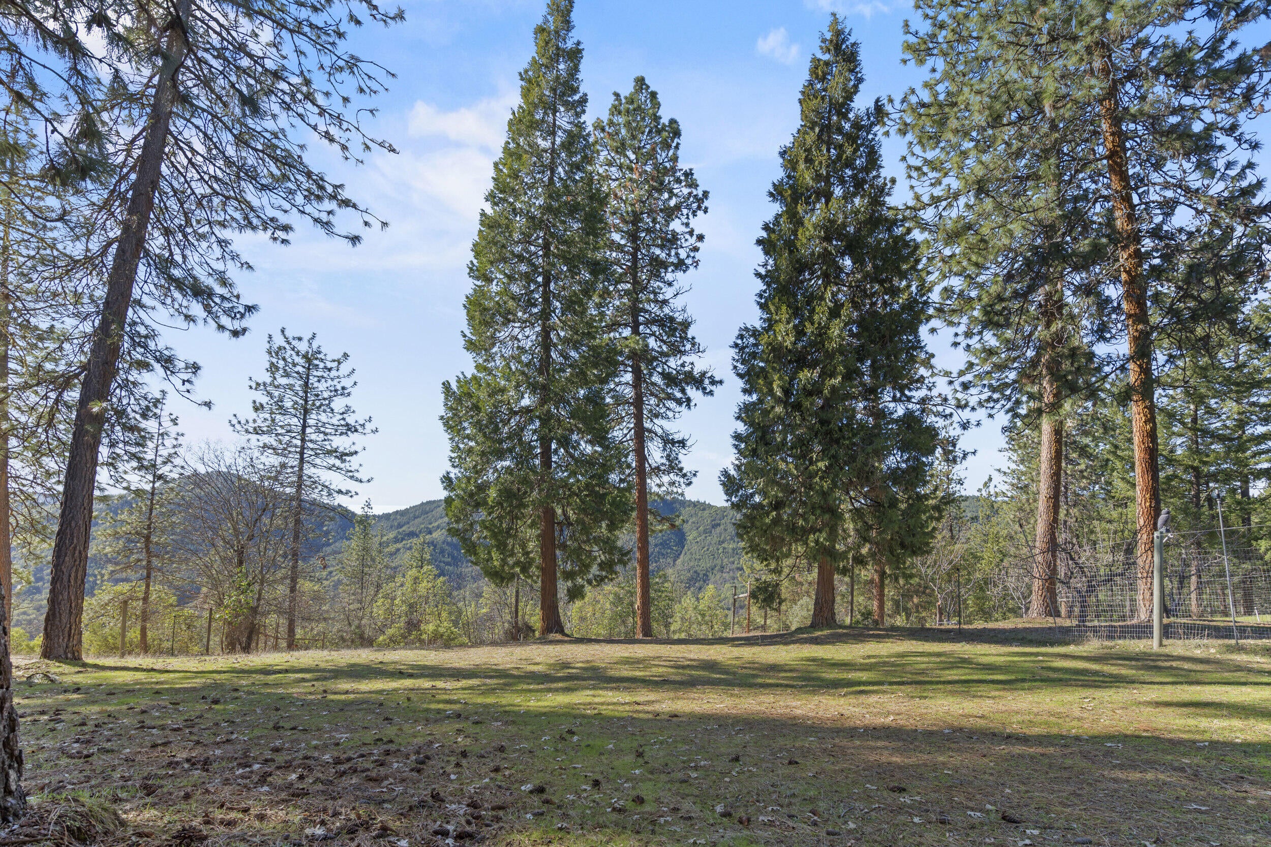 11376 Ramsey Road Gold Hill, OR 97525 - Photo 59 of 64 7_11376 ramsey road - 07