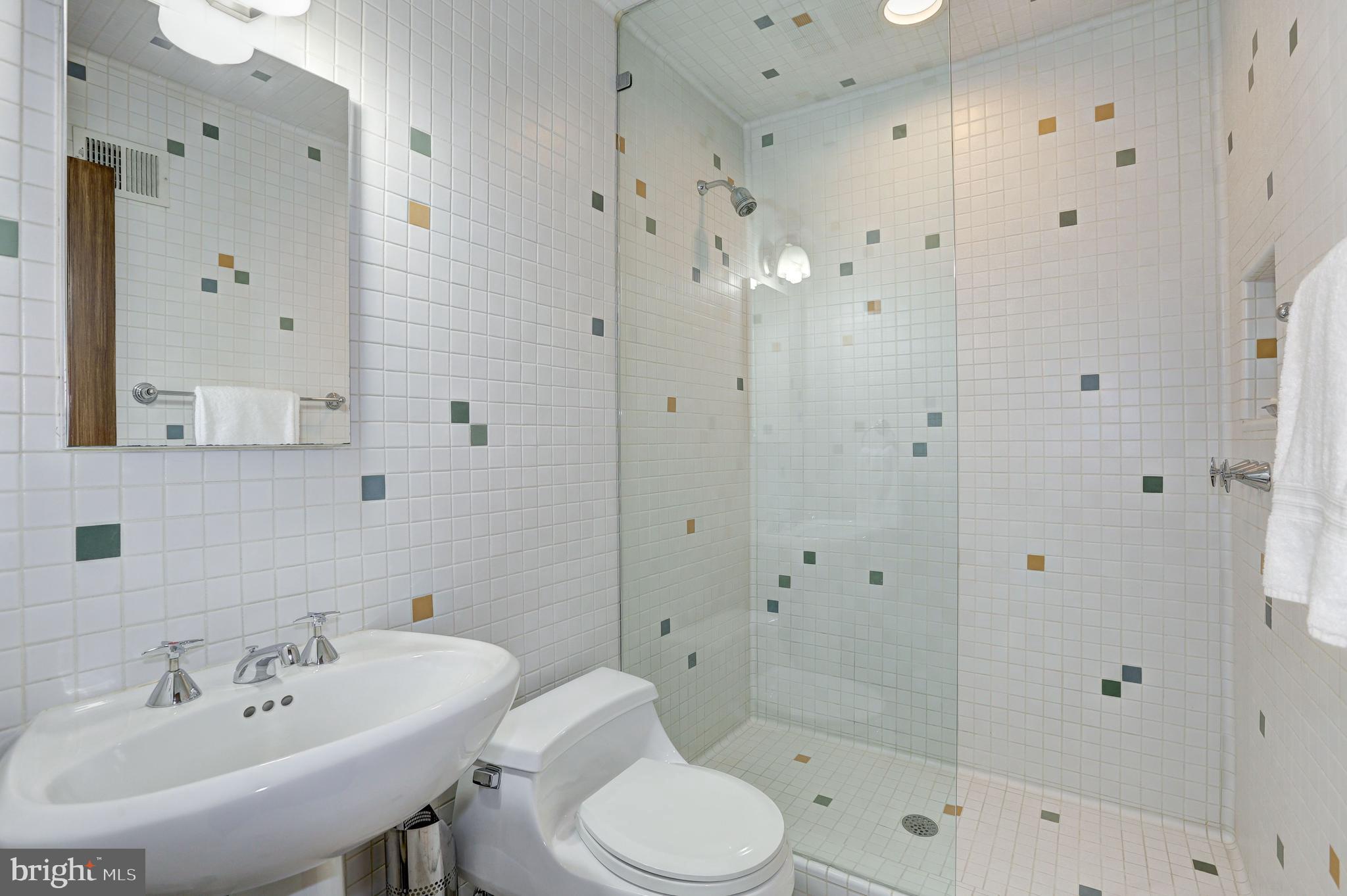 10109 Iron Gate Road Potomac, MD 20854 - Photo 28 of 42 Ensuite Private Bath