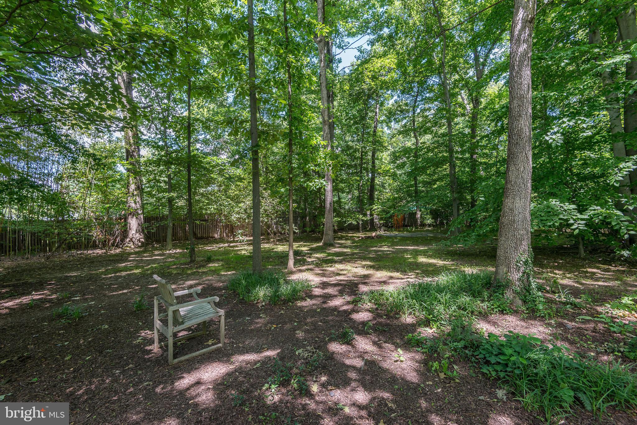 10109 Iron Gate Road Potomac, MD 20854 - Photo 4 of 42 Incredible , Flat 2 Acre Lot