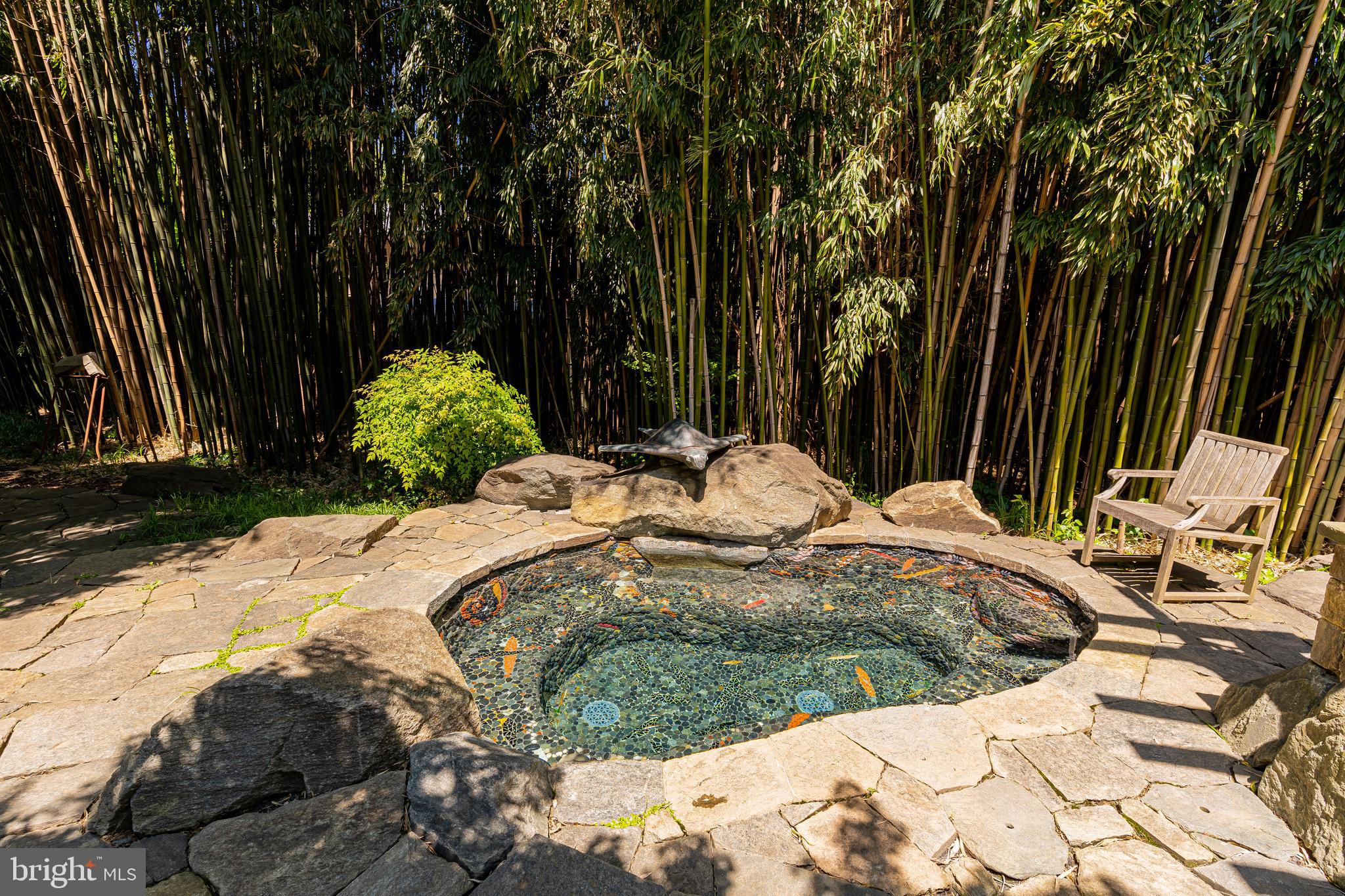 10109 Iron Gate Road Potomac, MD 20854 - Photo 40 of 42 Spa