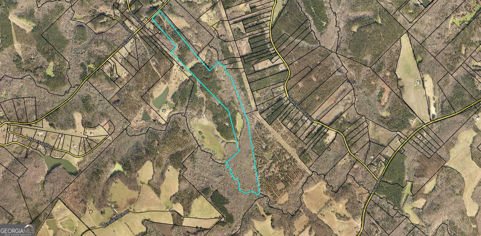 2230 Reese Road, Unit TRACT C Rutledge, GA 30663 - Photo 2 of 6