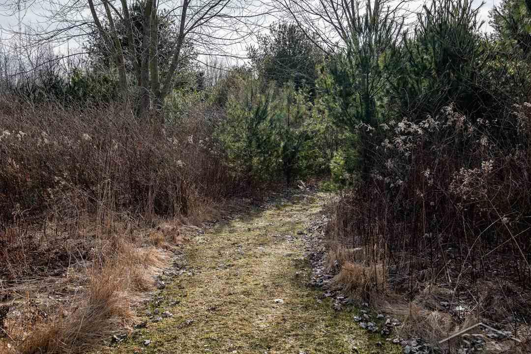 5395 Swaffer Road Millington, MI 48746 - Photo 12 of 25