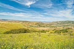 6500 Santa Rosa Road Buellton, CA 93427 - Photo 25 of 96 18