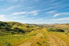 6500 Santa Rosa Road Buellton, CA 93427 - Photo 6 of 96 12