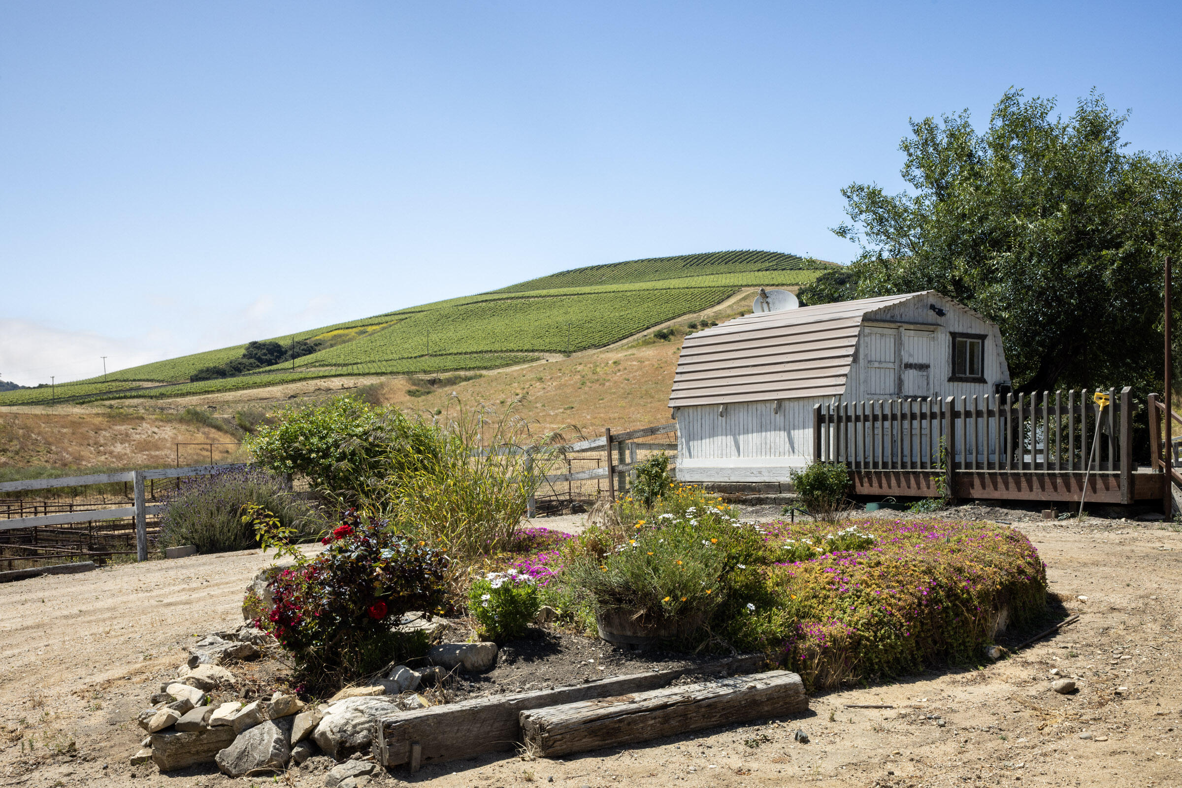 6500 Santa Rosa Road Buellton, CA 93427 - Photo 87 of 96 a view of a house with a flower garden