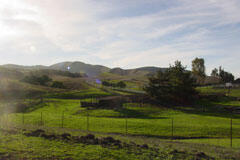 6500 Santa Rosa Road Buellton, CA 93427 - Photo 9 of 96 30