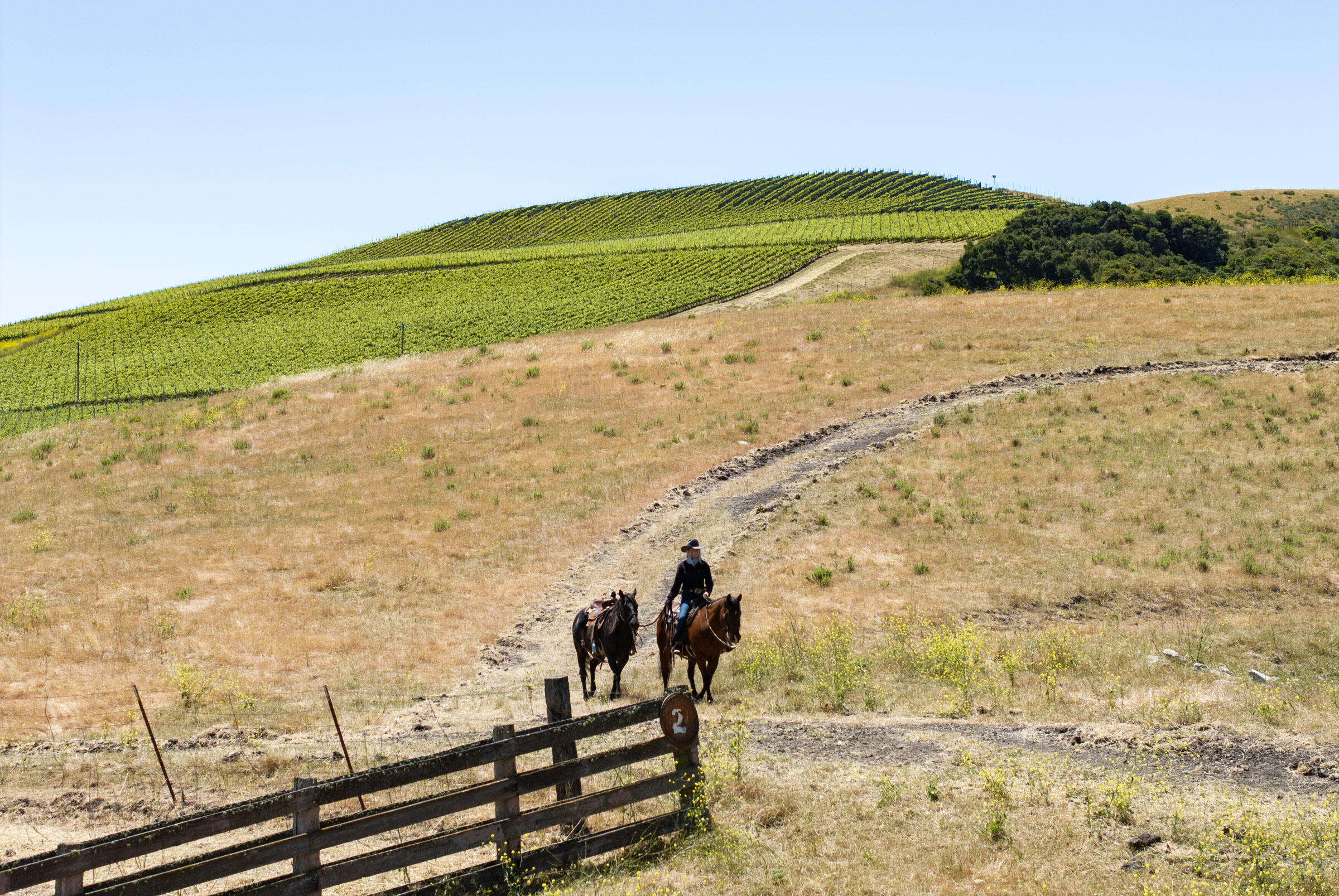 6500 Santa Rosa Road Buellton, CA 93427 - Photo 94 of 96 a view of a lake with a mountain view