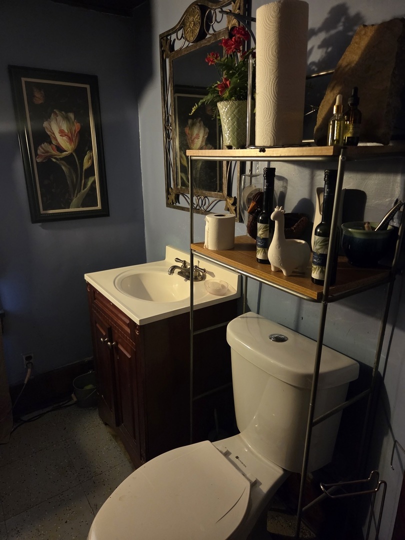 6738 South Normal Boulevard Chicago, IL 60621 - Photo 11 of 12 a bathroom with a toilet a sink and mirror