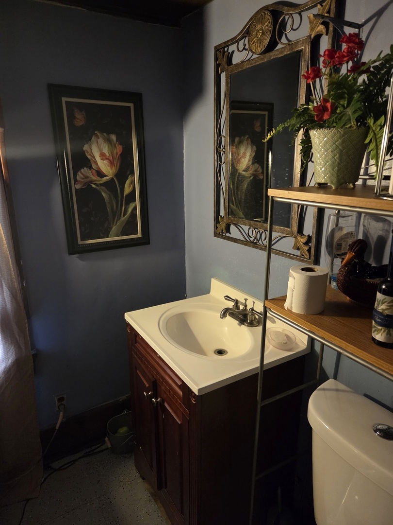 6738 South Normal Boulevard Chicago, IL 60621 - Photo 12 of 12 a bathroom with a sink and a mirror