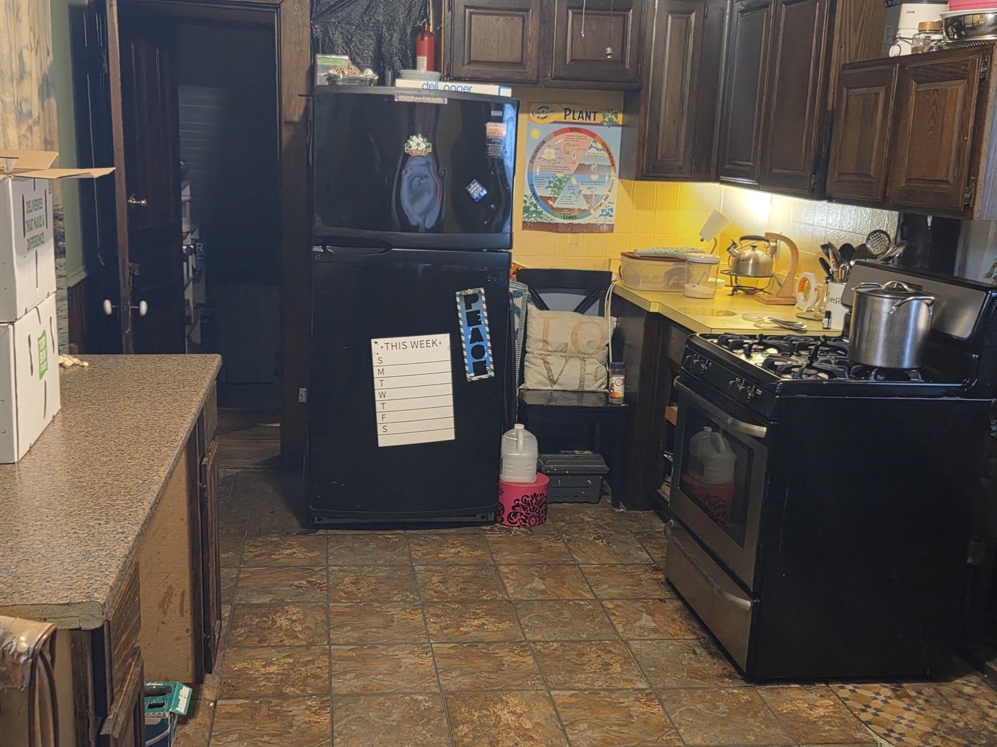 6738 South Normal Boulevard Chicago, IL 60621 - Photo 5 of 12