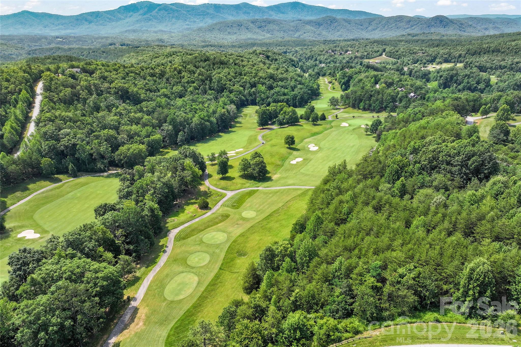 1361 Deep Gap Farm Road East Mill Spring, NC 28756 - Photo 13 of 23