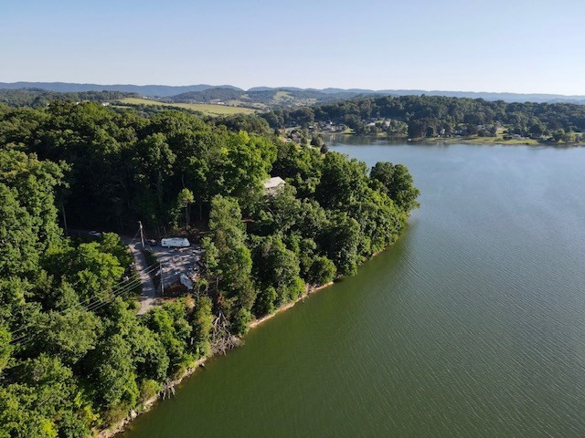 293 Whipperwill Lane Rutledge, TN 37861 - Photo 14 of 20