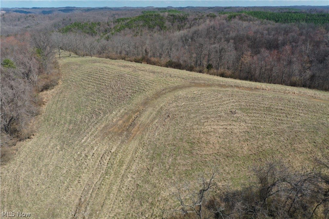 1 Sarvis Fork Road Sandyville, WV 25275 - Photo 3 of 44 Gallery Image 3