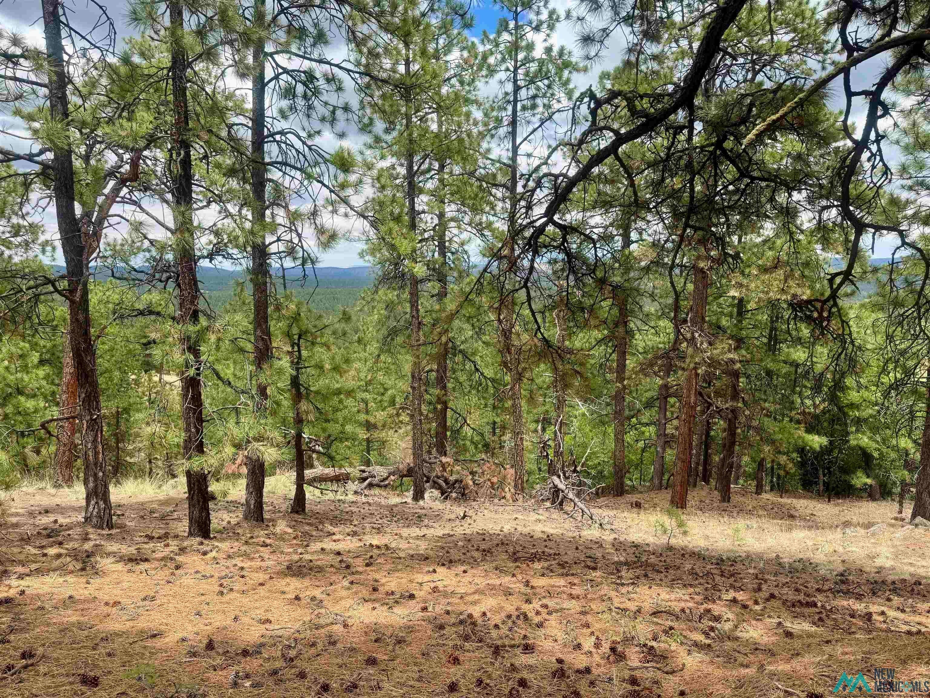 Tbd Oso Rdg Lookout Road Grants, NM 87020 - Photo 20 of 41