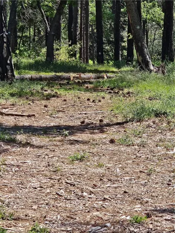 $50,000 | 0 Boeta Court, Paradise, CA 95969