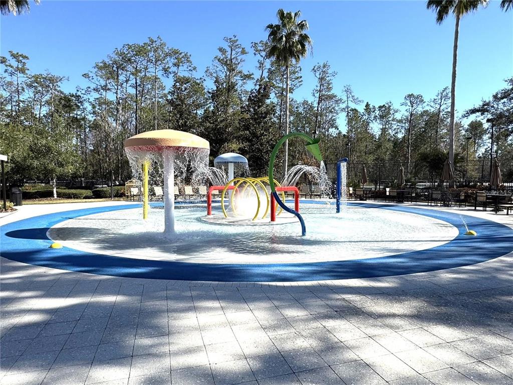 2320 Spring Hollow Loop Wesley Chapel, FL 33544 - Photo 29 of 30