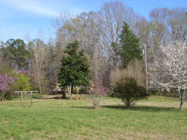 851 Cumslo Road Gray, GA 31032 - Photo 17 of 17 a view of a garden
