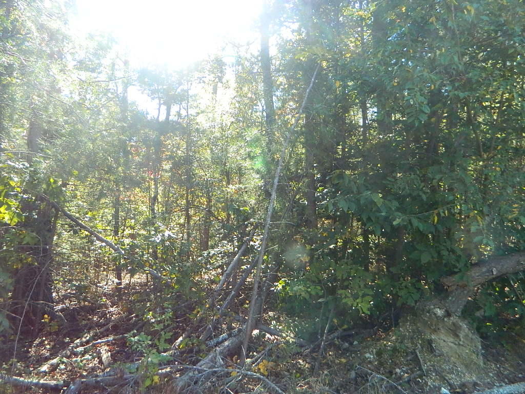 0 Miller Drive, Unit LOT #11 Rising Fawn, GA 30738 - Photo 3 of 6 DSCN6519