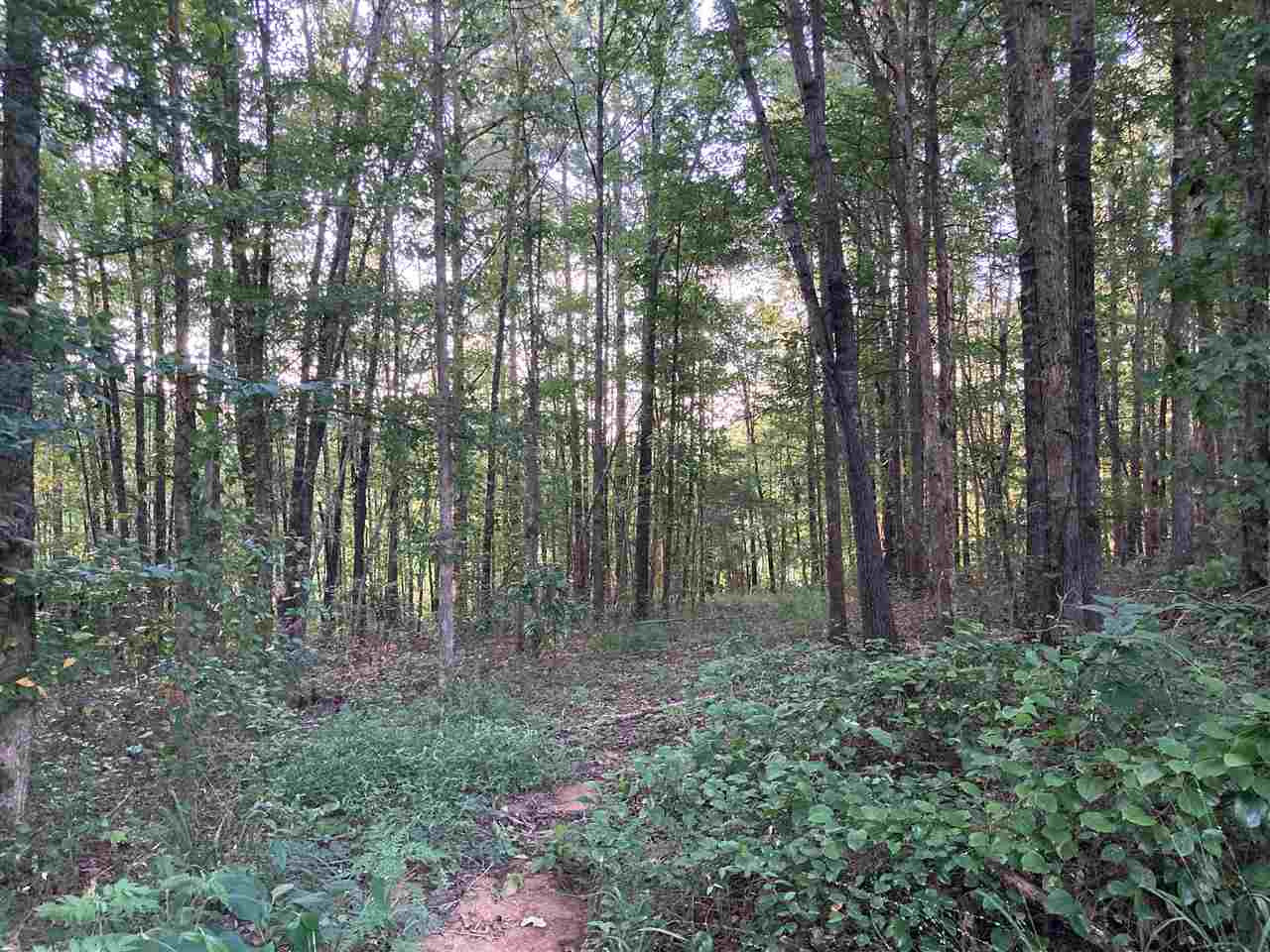 5151 Tomahawk Road Eupora, MS 39744 - Photo 18 of 23 Photo 18
