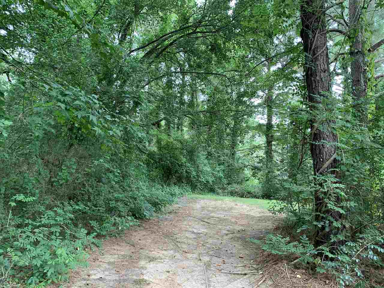 5151 Tomahawk Road Eupora, MS 39744 - Photo 4 of 23 Photo 4