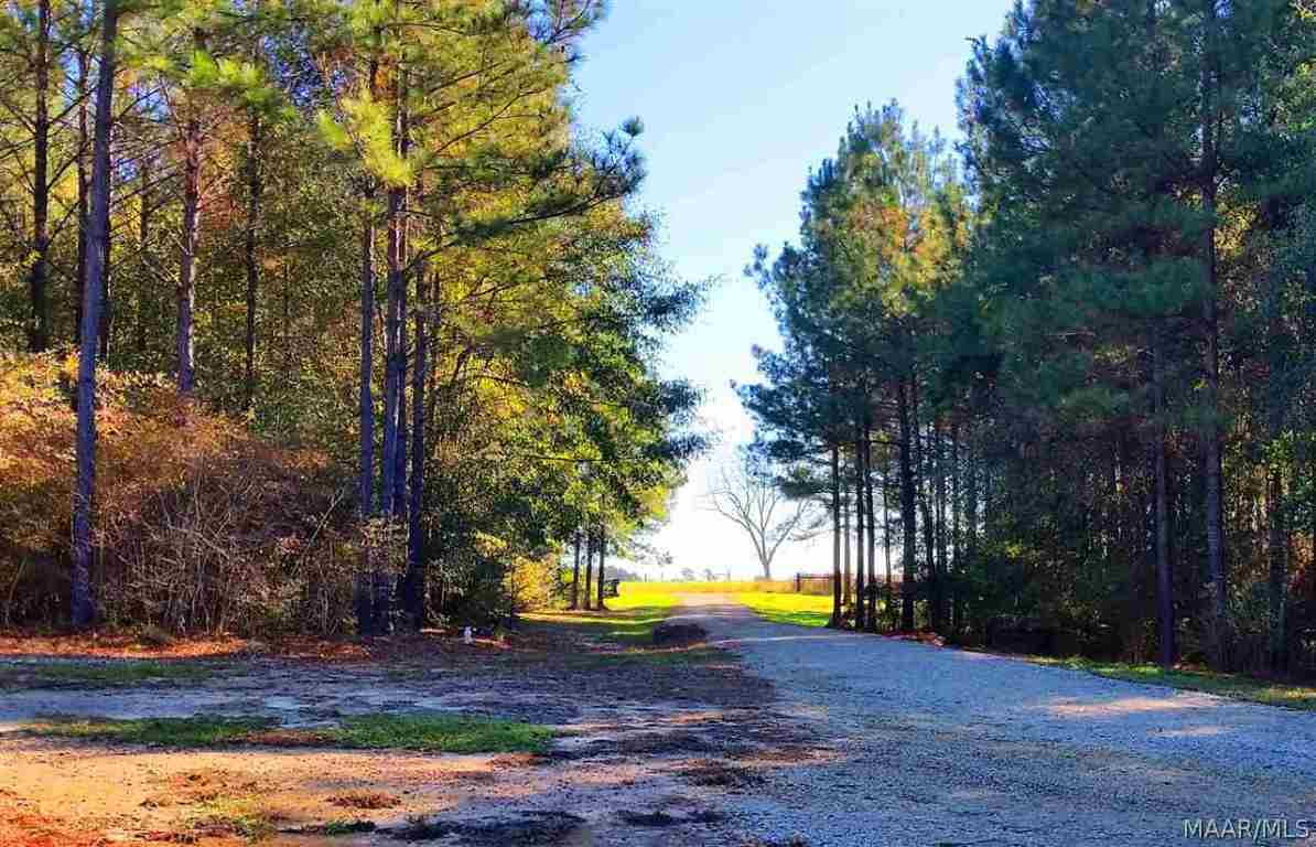 2291 Tindil Creek Road Slocomb, AL 36375 - Photo 25 of 35 Gallery Image 25