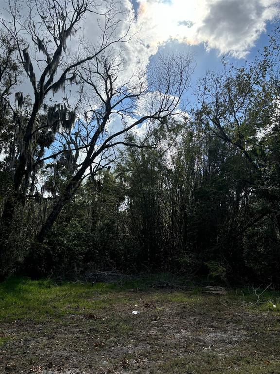 0 Kolb Place Aripeka, FL 34679 - Photo 4 of 4 a view of outdoor space and yard