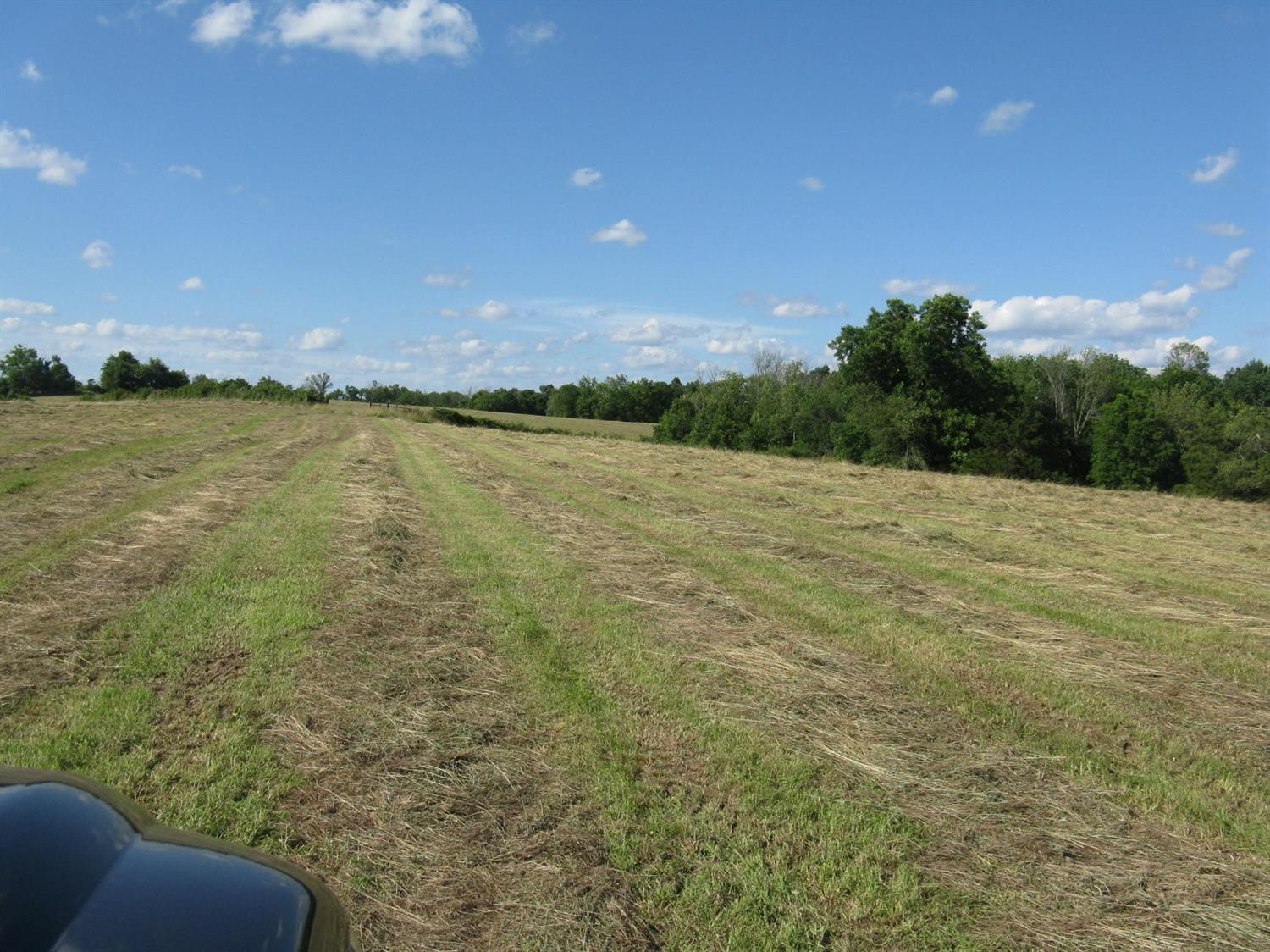 999 Goshen Church Road Stanford, KY 40484 - Photo 2 of 20 Listing Photo