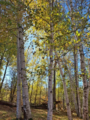 $99,900 | 4075 Highway 38, Grand Rapids, MN 55744