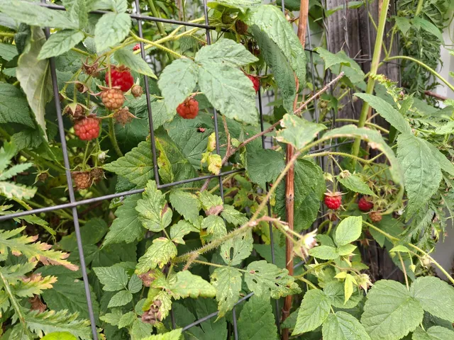 $99,900 | 4075 Highway 38, Grand Rapids, MN 55744