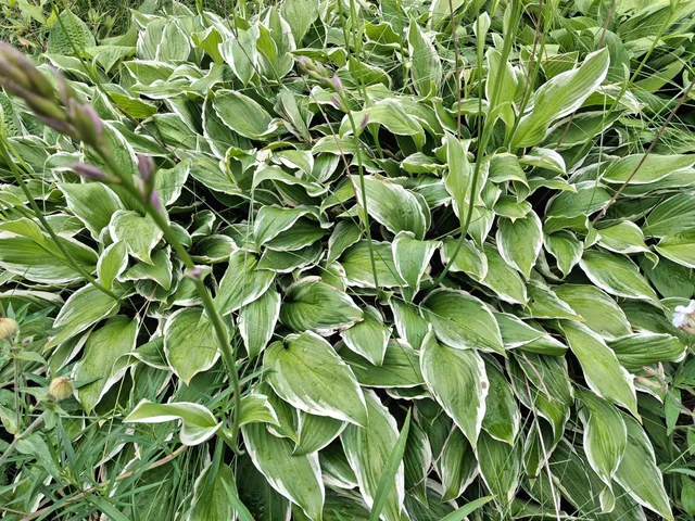 $99,900 | 4075 Highway 38, Grand Rapids, MN 55744