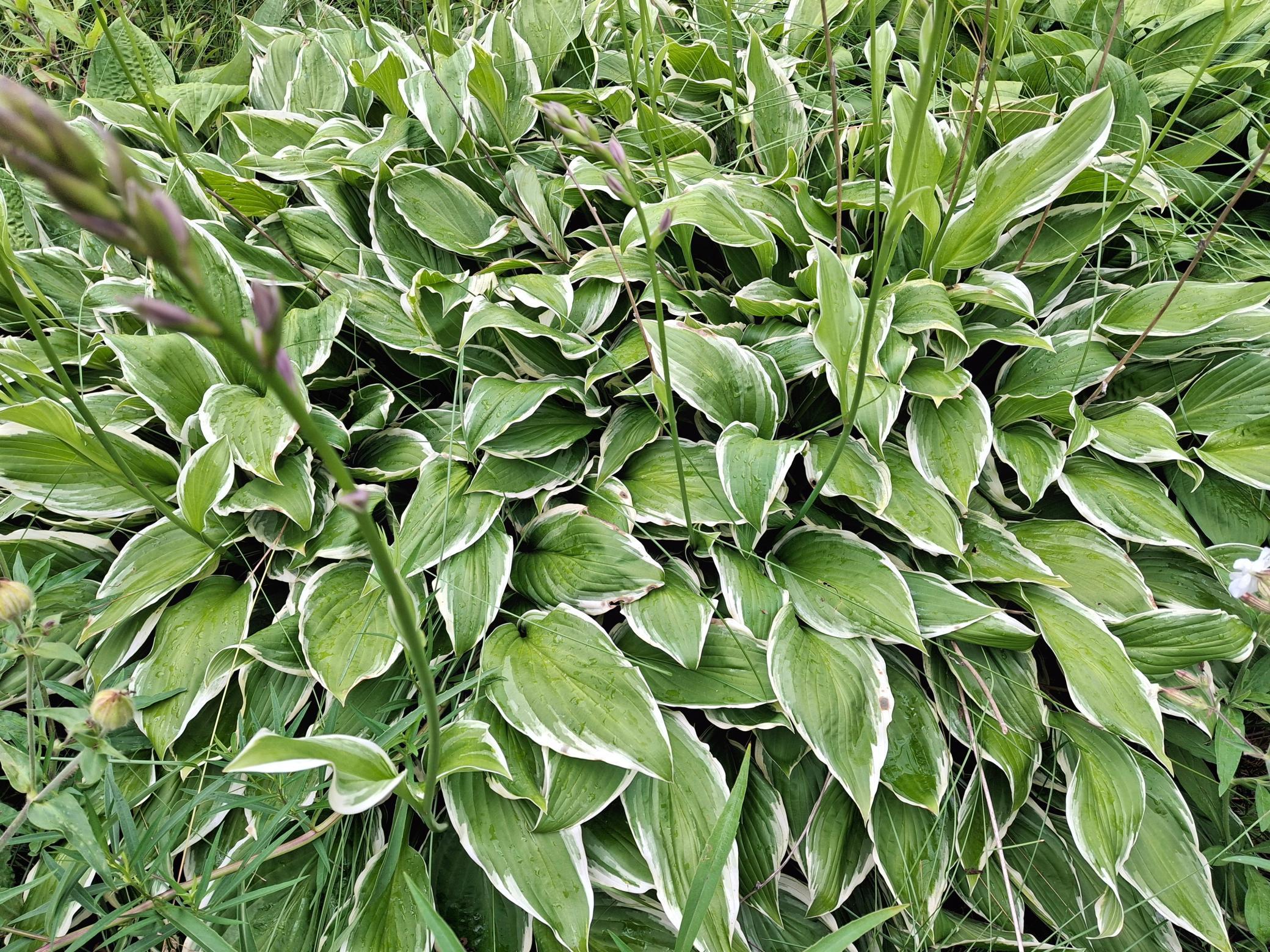 4075 Highway 38 Grand Rapids, MN 55744 - Photo 20 of 20